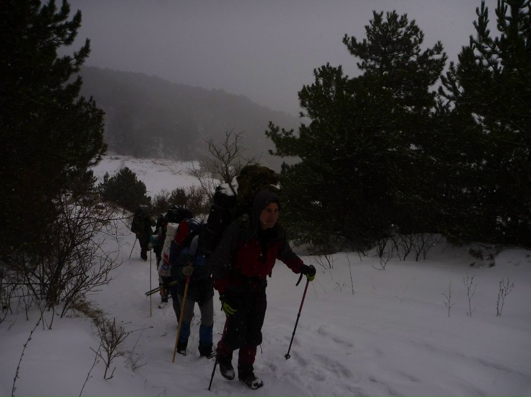 Наташа Гудвилович | Севастополь