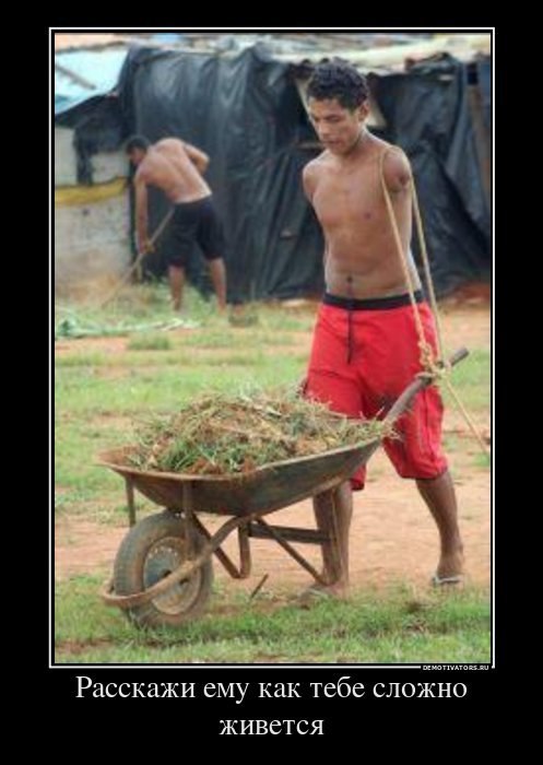 Захар Пашун | Киев