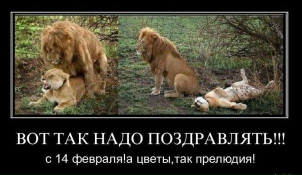 №65, Иван Овчаренко, 40 лет, Москва №65, Иван Овчаренко, 40 лет, Москва