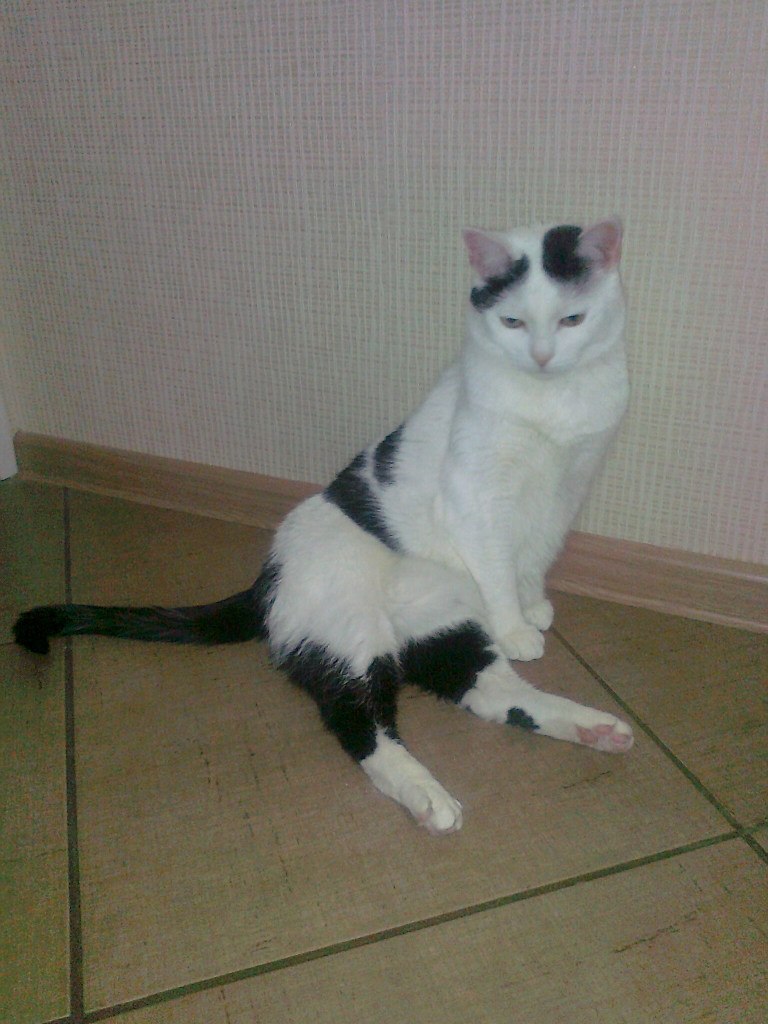 Елена Мартынова | 