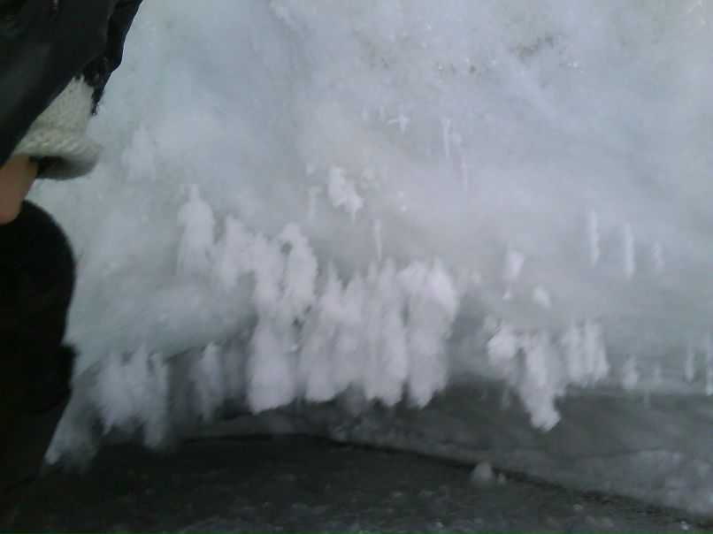 Сергей Травкин Суслик-путешественник))) | Улан-Удэ