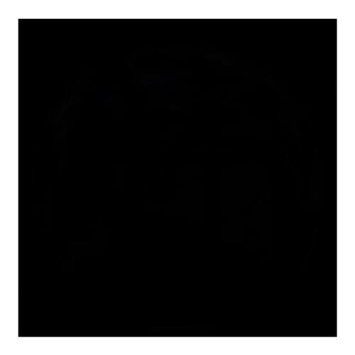 Антон Седов | 