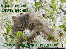 Наталія Мизинчук | Львов