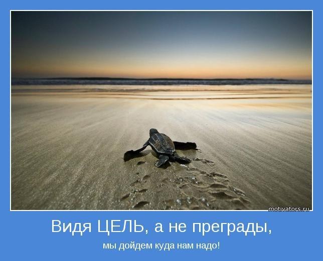 Елизавета Видрашко | Кишинев