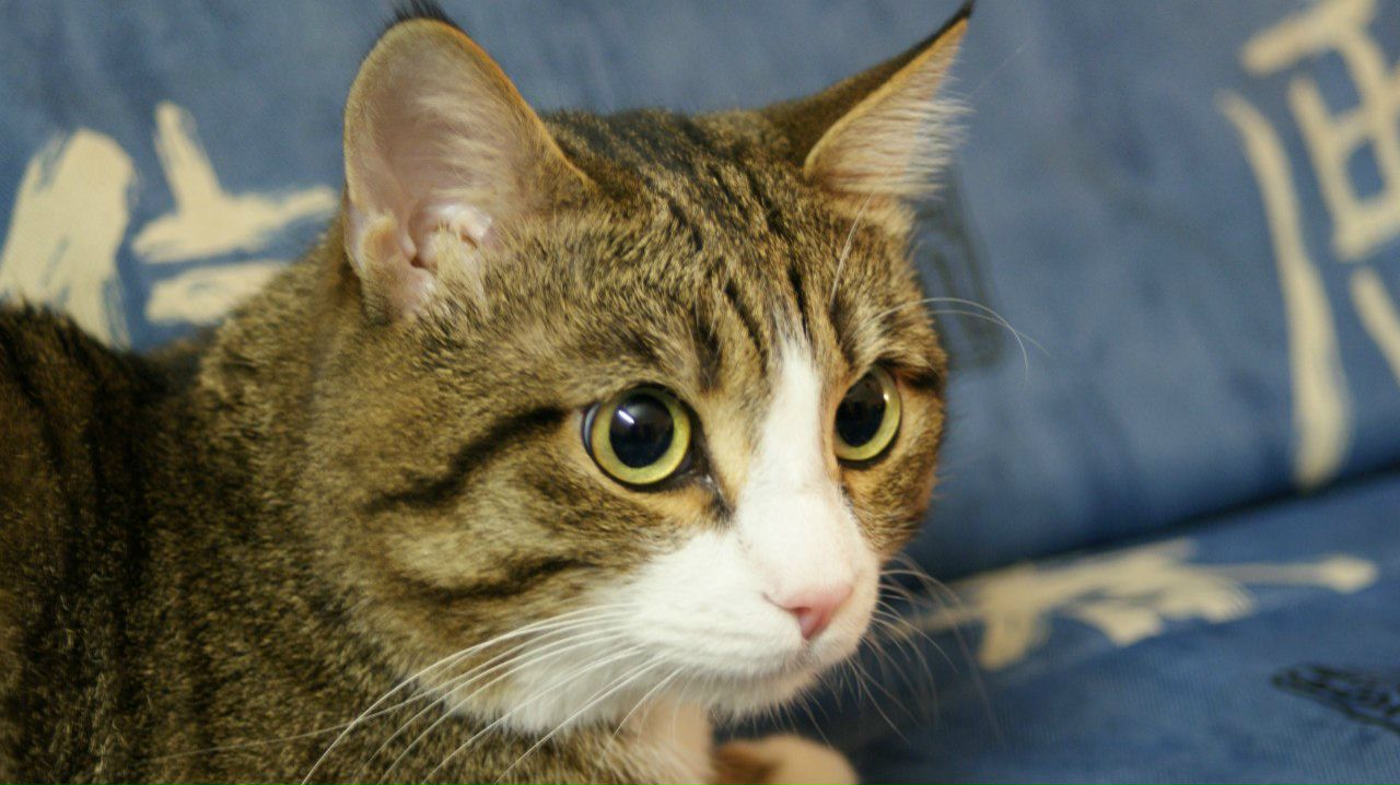 Артем Николаев | Красноярск