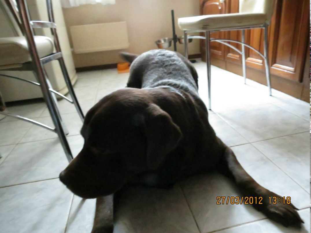 Саня Котовский | Екатеринбург