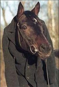 Tamara Shengeliya | Москва