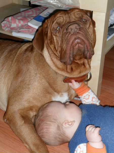 №84, Лена Пиккель, Санкт-Петербург №84, Лена Пиккель, Санкт-Петербург