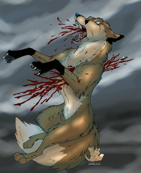 №148, Никита Ким, Котово, Россия №148, Никита Ким, Котово, Россия