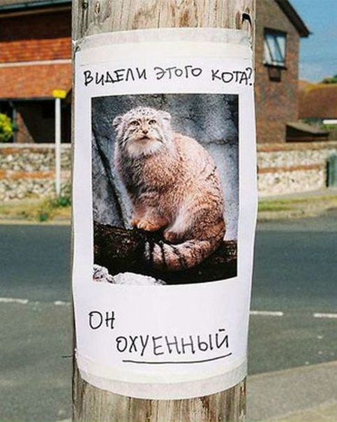 №4, Владимир Пинчук, 39 лет №4, Владимир Пинчук, 39 лет