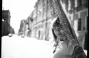 Фотография Проус Юлии