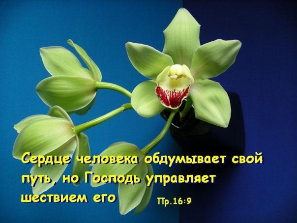 №3, Оля Кудревич №3, Оля Кудревич