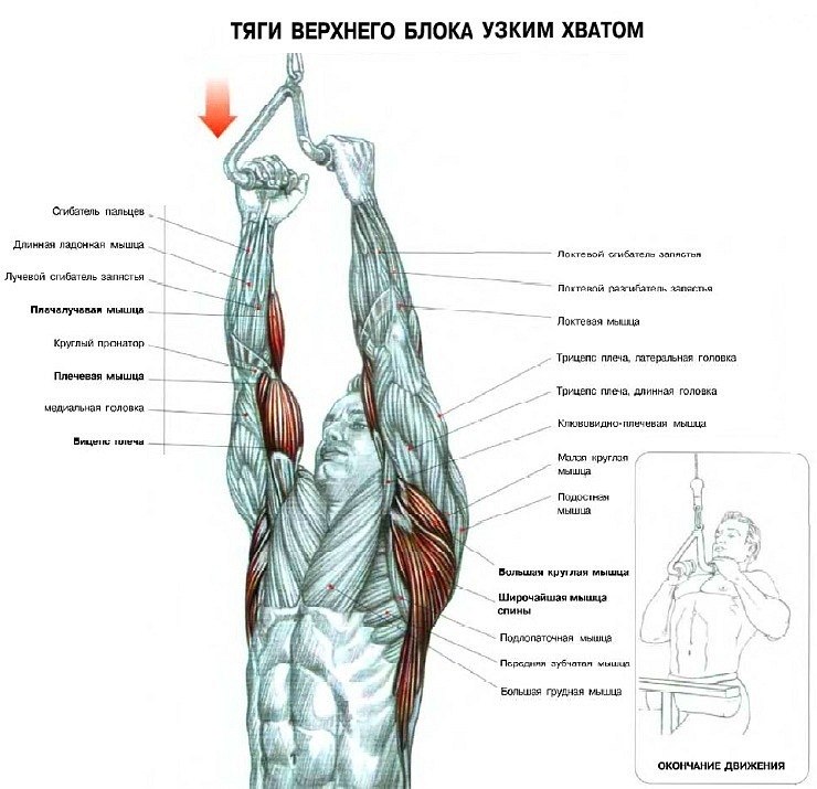 Алексей Онипко | 