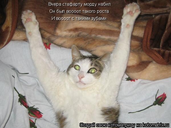 №10, Max Кубраков, 40 лет, Сумы №10, Max Кубраков, 40 лет, Сумы