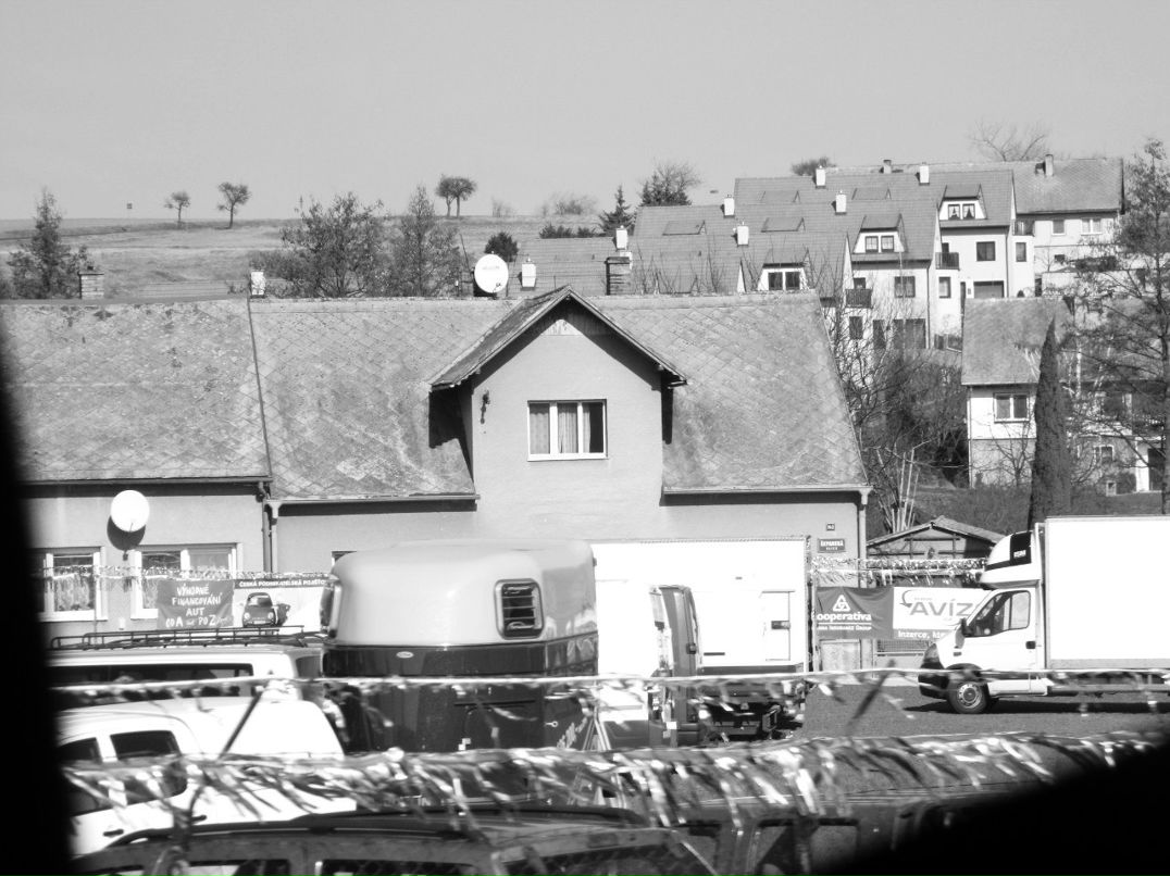 Ксения Никифорова | 