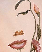 Ольга Дресвянникова | Большая Уча