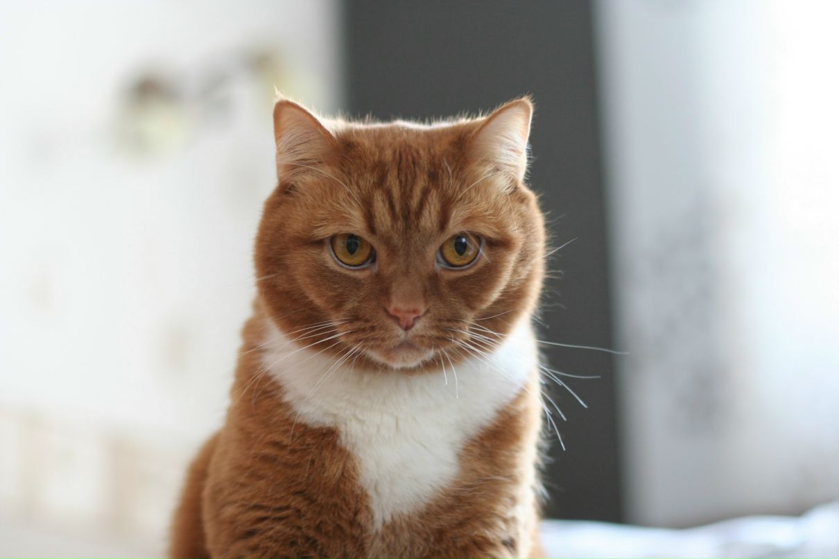 Дарья Гусева | Москва