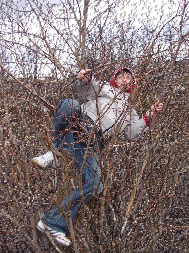 Дмитрий Колтунов Витальевич | Заполярный