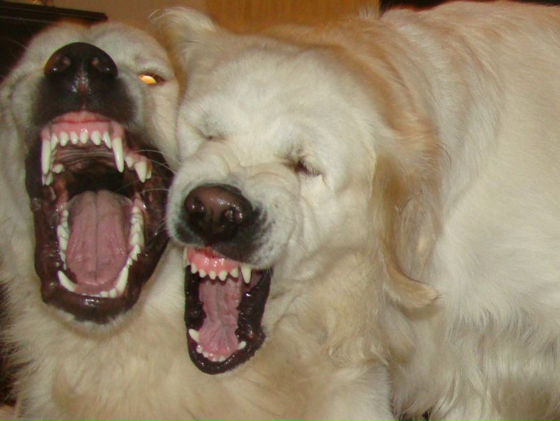 №19, Василий Типикин, 47 лет, Санкт-Петербург №19, Василий Типикин, 47 лет, Санкт-Петербург