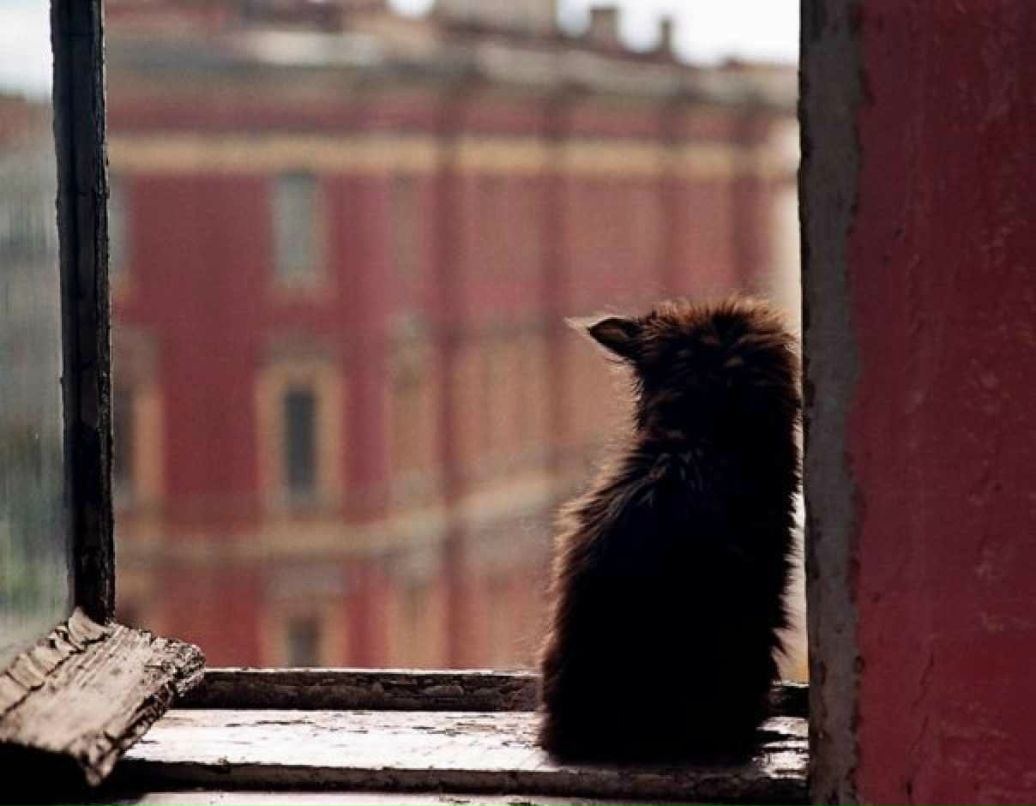 Виктория Подскальнюк | Калининград