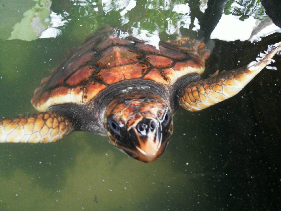 Дмитрий Назаров | Москва