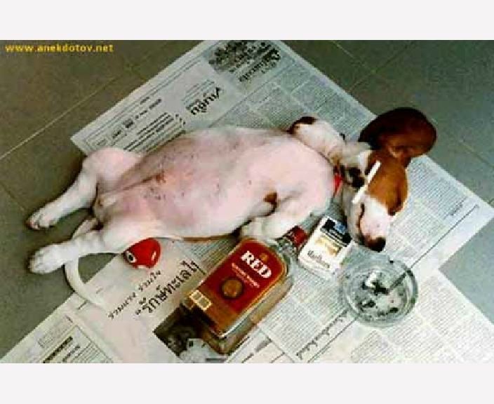 №100, Анна Быкова, 40 лет, Пермь №100, Анна Быкова, 40 лет, Пермь