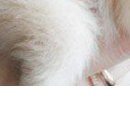 №94, Анюта Котько, 37 лет, Полтава №94, Анюта Котько, 37 лет, Полтава