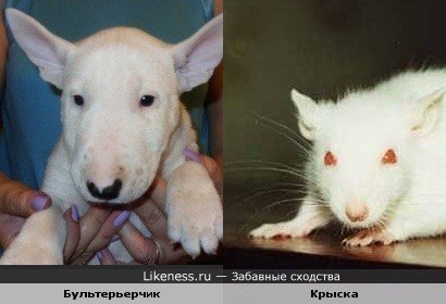 Алла Иванова | Санкт-Петербург