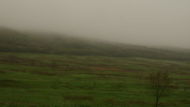 Lena Gan-Gayatri | Геленджик