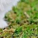 Татьяна Романовская фотография #12