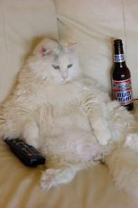 Виталий Шелудько | Kalisz