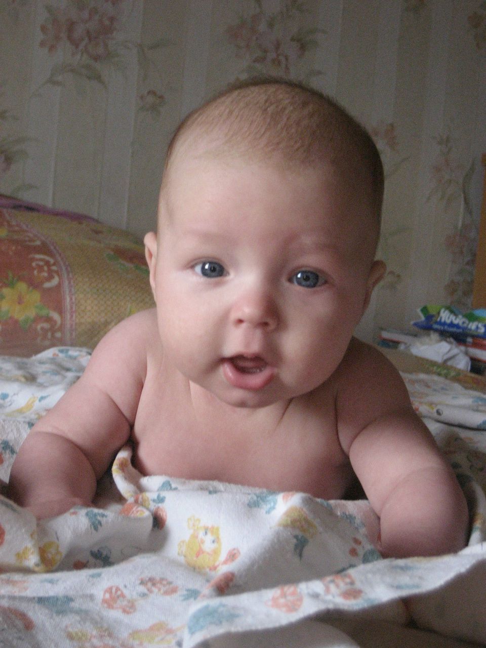 Наталья Быковская-Солодникова | Архангельск