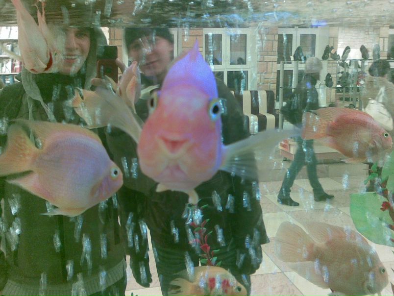 №14, Виталя Вельганюк, Томск №14, Виталя Вельганюк, Томск