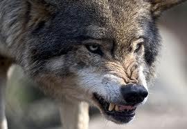 Денис Атанбаев | Уфа