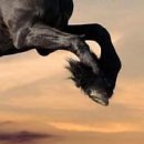 №2 Виктория Ланецкая 27.02: профиль, фото, статус - ВКонтакте