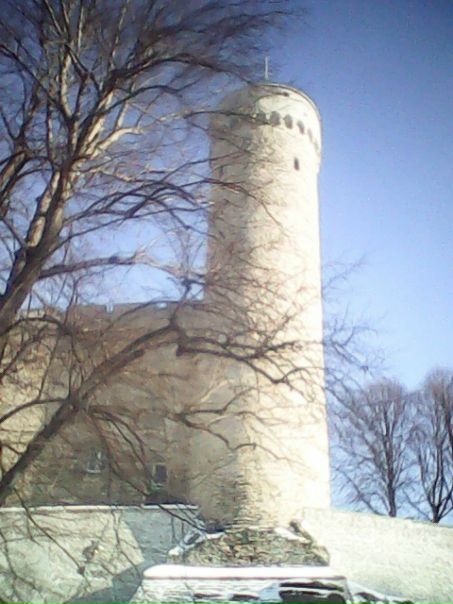 №39, Юрий Бирсанов, Нарва №39, Юрий Бирсанов, Нарва