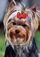 №127, Анастасия Ерохина, 28 лет, Санкт-Петербург, Россия №127, Анастасия Ерохина, 28 лет, Санкт-Петербург, Россия