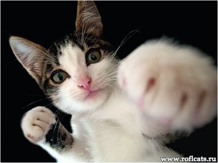 Татьяна Литвинова | Псков