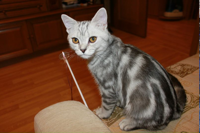 Михаил Конаков | Москва