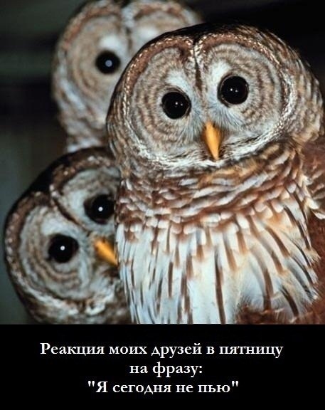 Александр  | Нижний Новгород