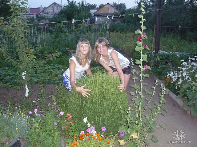 Елизавета Семёнова | Орск