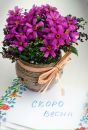 №38 Людмила Гожа 08.05: профиль, фото, статус - ВКонтакте №38 Людмила Гожа 08.05: профиль, фото, статус - ВКонтакте