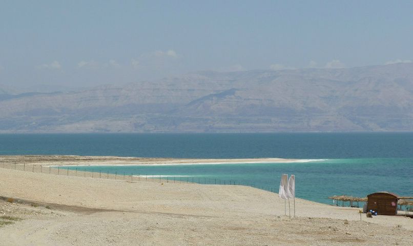 Соня Михалёва | 