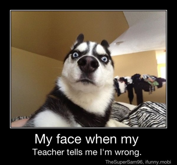 Vova Kostyurenko | Днепр (Днепропетровск)