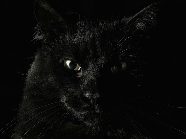 Эмир Дадабаев | Алматы