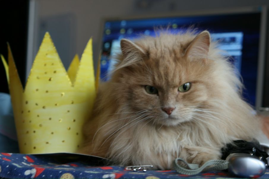 №25, Леночка Бойко, 45 лет, Санкт-Петербург №25, Леночка Бойко, 45 лет, Санкт-Петербург