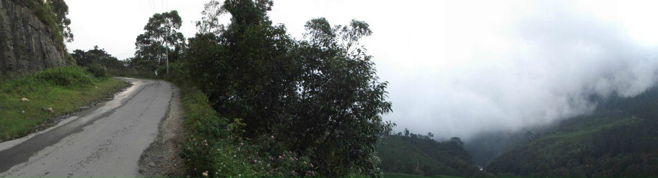 Игорь Гоголев | Тель-Авив