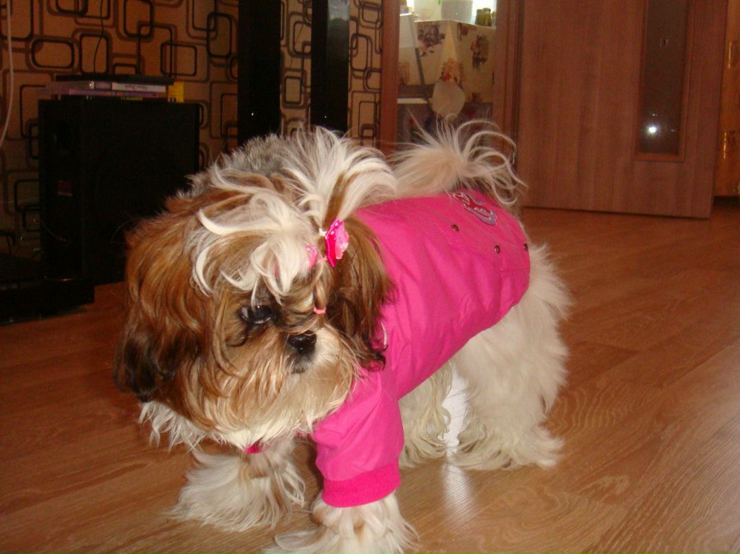 Ирина Рубцова | Вологда