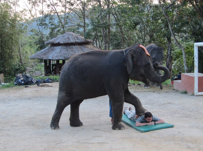 Алексей Рыбин | Санкт-Петербург