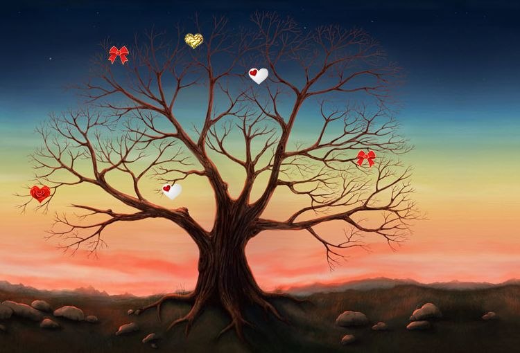 Ольга Малыш | Кривой Рог